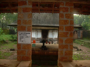 frontview.jpg
